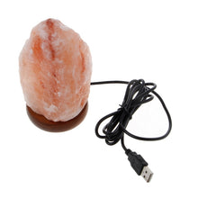 Load image into Gallery viewer, Hand Carved USB Wooden Base Himalayan Rock Salt Lamp
